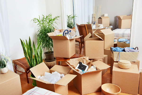 Monika Fast Relocation Packers and Movers